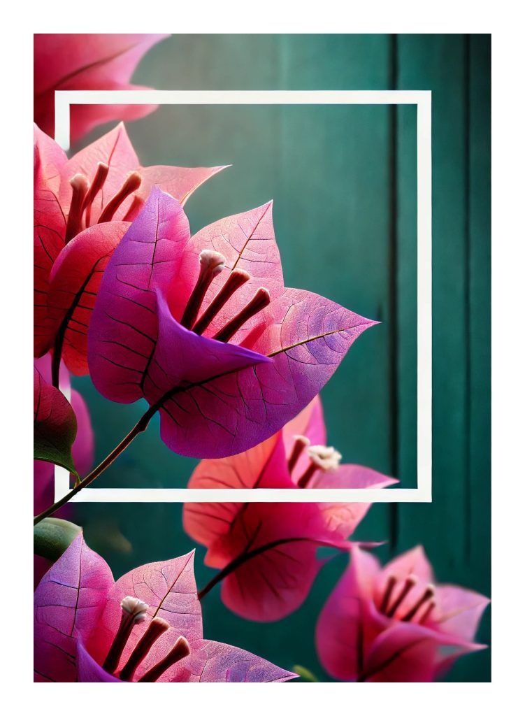 Vibrant bougainvillea flower art at Ta Yai Beach Resort, Koh Larn, capturing the essence of tropical beauty